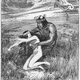Illustration for article titled Victorian Childrens Book Illustrations Could Be Pretty Racy (NSFW)